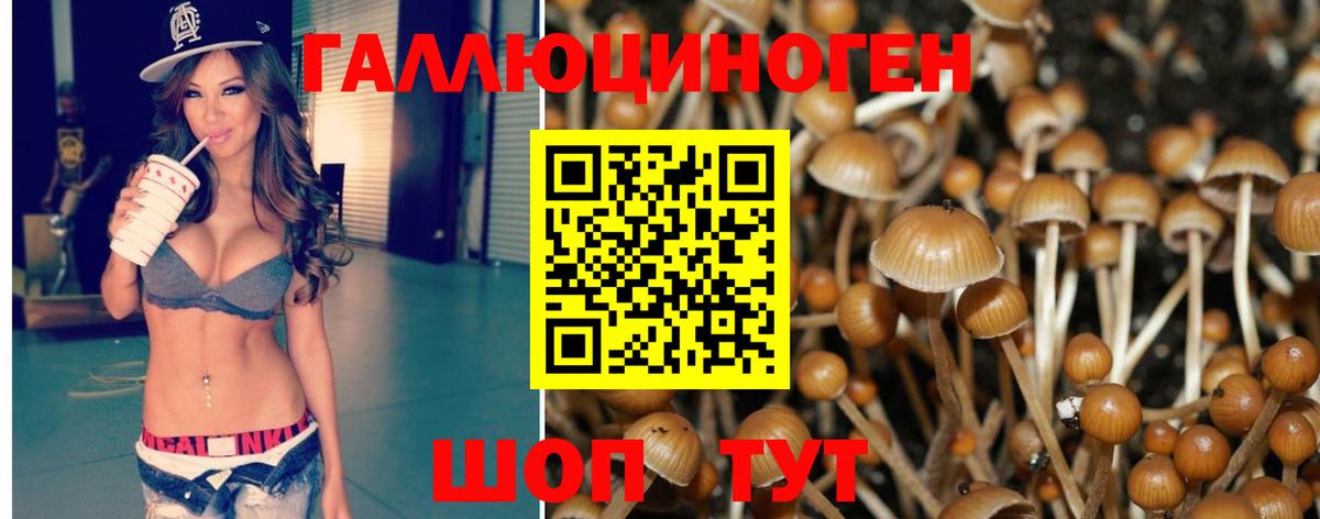 Псилоцибиновые грибы MAGIC MUSHROOMS Партизанск